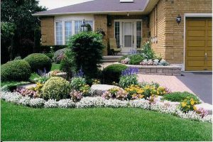 Curb appeal. A well maintained front law with flower garden.